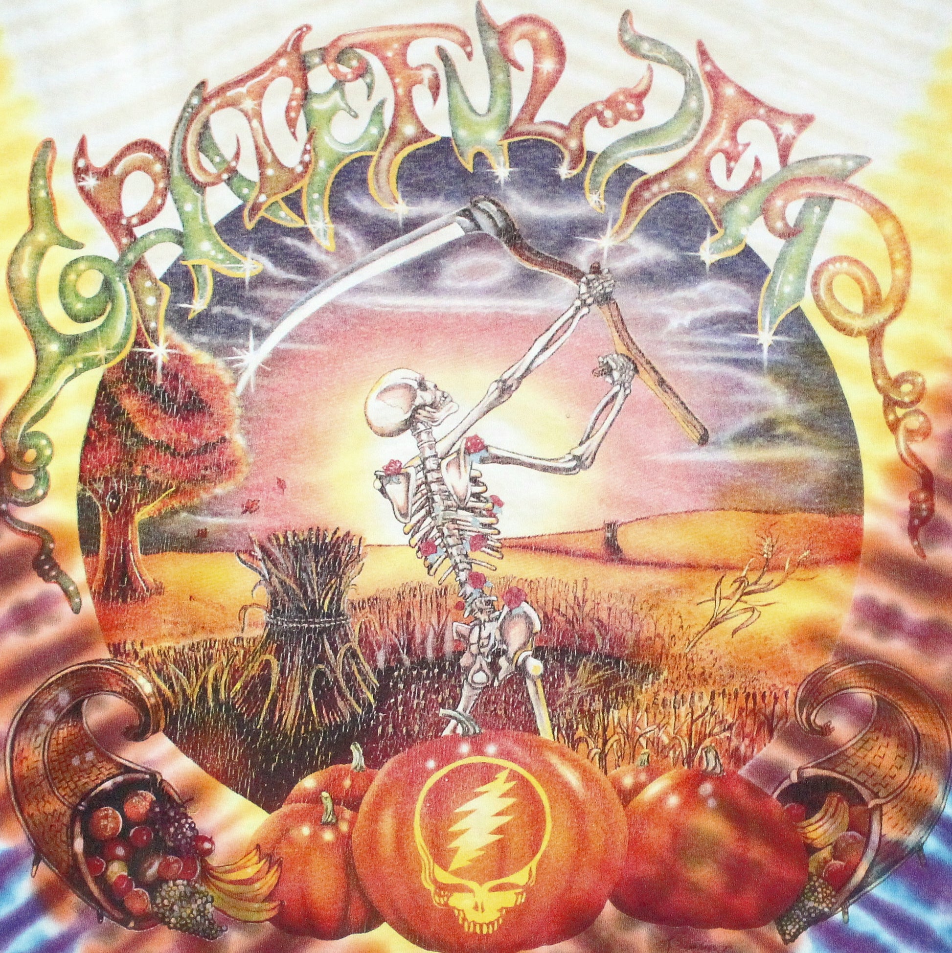 the grateful dead fall tour 1994 shirt xl